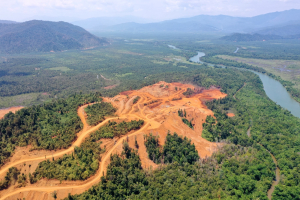 Liability Inside: Bagaimana Aquila Nickel Group Menjerumuskan Solway ke dalam Pusaran Pelanggaran Kehutanan