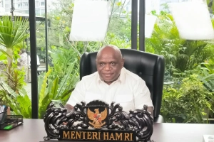 perlindungan aktivis HAM dalam aksi damai di Indonesia