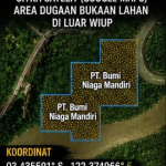 JAMI Akan Gelar Aksi di Mabes Polri dan Kementerian ESDM RI, Soroti Dugaan Illegal Mining di Sungai Molawe